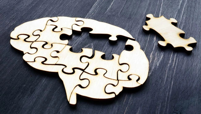 Brain Puzzle